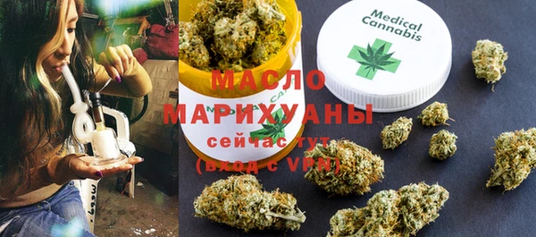 дживик Снежногорск