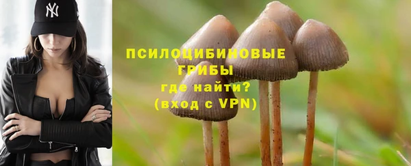 mix Горняк