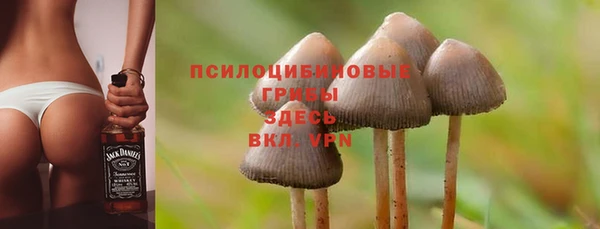 спиды Горно-Алтайск