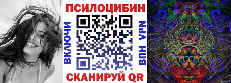 где продают   Ветлуга  Псилоцибиновые грибы MAGIC MUSHROOMS 